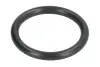 Ущільнююче кільце коробки передач ZF (0634306213) зображення 1