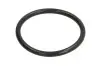 Ущільнююче кільце коробки передач 34x3мм T 7100 L ZF (0634306238) зображення 1