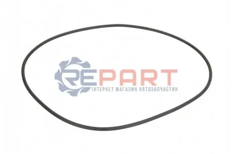 Ущільнювальне кільце коробки передач ZF 0634313796