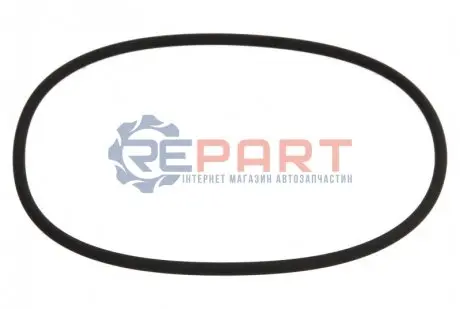 Ущільнююче кільце коробки передач 100x3мм ZF 0634316304