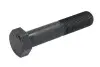 Елемент коробки передач ZF (0636020153) зображення 1