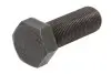 Гвинт МКПП ZF (0636021250) зображення 1