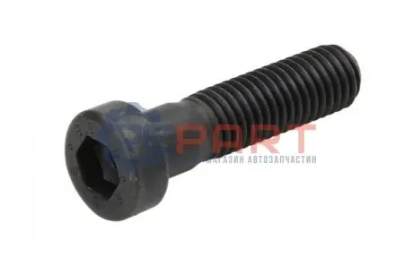 Кріпильні деталі стрижня маятника ZF 0636102066