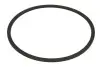 Елемент коробки передач ZF (0734307198ZF) зображення 1