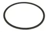 Елемент коробки передач ZF (0734307198ZF) зображення 2
