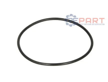 Ущільнююче кільце коробки передач ZF 0734313010