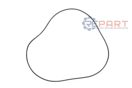 Прокладка коробки передач (249x3) ZF 0734313098