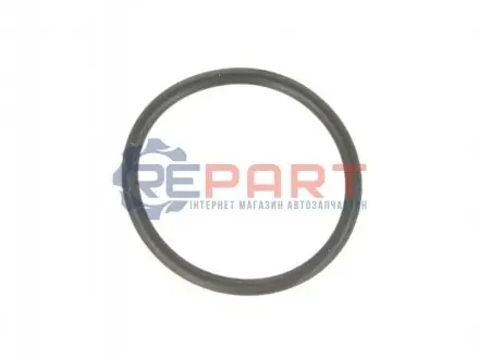 Ущільнююче кільце коробки передач ZF 0734.313.161