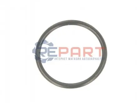Ущільнююче кільце коробки передач ZF 0734.313.846