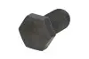 Гвинт ZF (0736010274) зображення 1