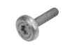 Болт коробки передач 6 HP 28 A 61 8 HP 55 A EW 8 HP 90 8 HP 90 A 8 HP 90 SW 8 HP 95 X SW ZF (0736.300.500) зображення 1