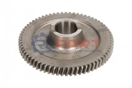 Шестерня коробки передач ZF 1304313063