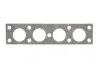 Ущільнення, коробка передач ZF (4139306541) зображення 1