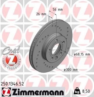 Гальмівний диск ZIMMERMANN 250134652 (фото 1)